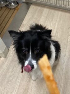 ★お泊まりブログ★