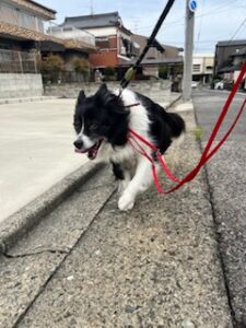 ★お泊まりブログ★