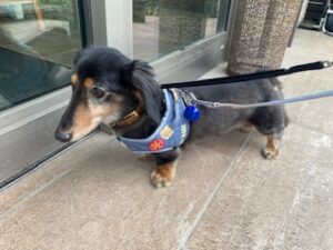 ★お泊まりブログ★