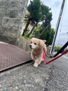 ★お泊まりブログ★