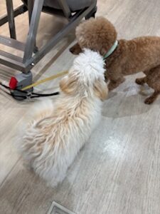 ★お泊まりブログ★