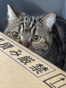★お泊まりブログ★
