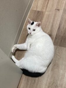 ★お泊まりブログ★