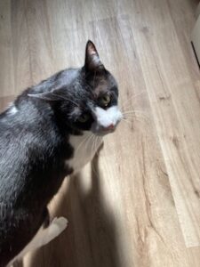 ★お泊まりブログ★