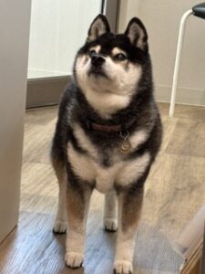 ★お泊まりブログ★