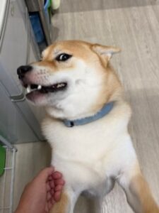 ★お泊まりブログ★