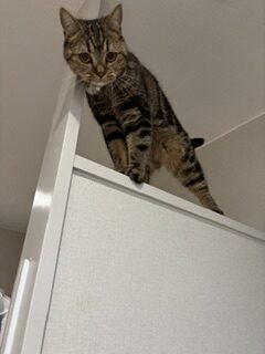 ★お泊まりブログ★