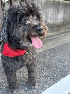 ★お泊まりブログ★