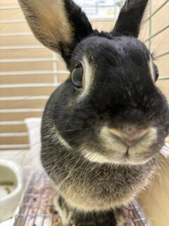 ★お泊まりブログ★