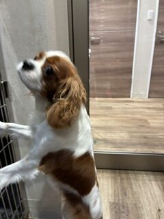 ★お泊まりブログ★
