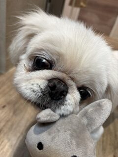 ★お泊まりブログ★