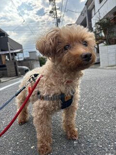 ★お泊まりブログ★