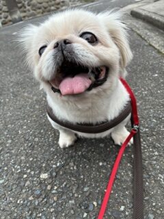 ★お泊まりブログ★