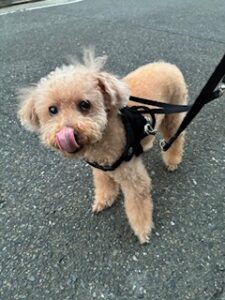 ★お泊まりブログ★