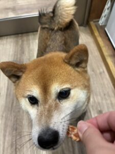 ★お泊まりブログ★