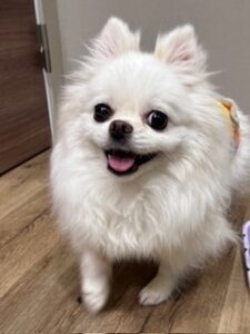 ★お泊まりブログ★