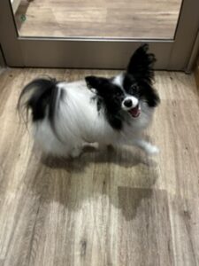 ★お泊まりブログ★